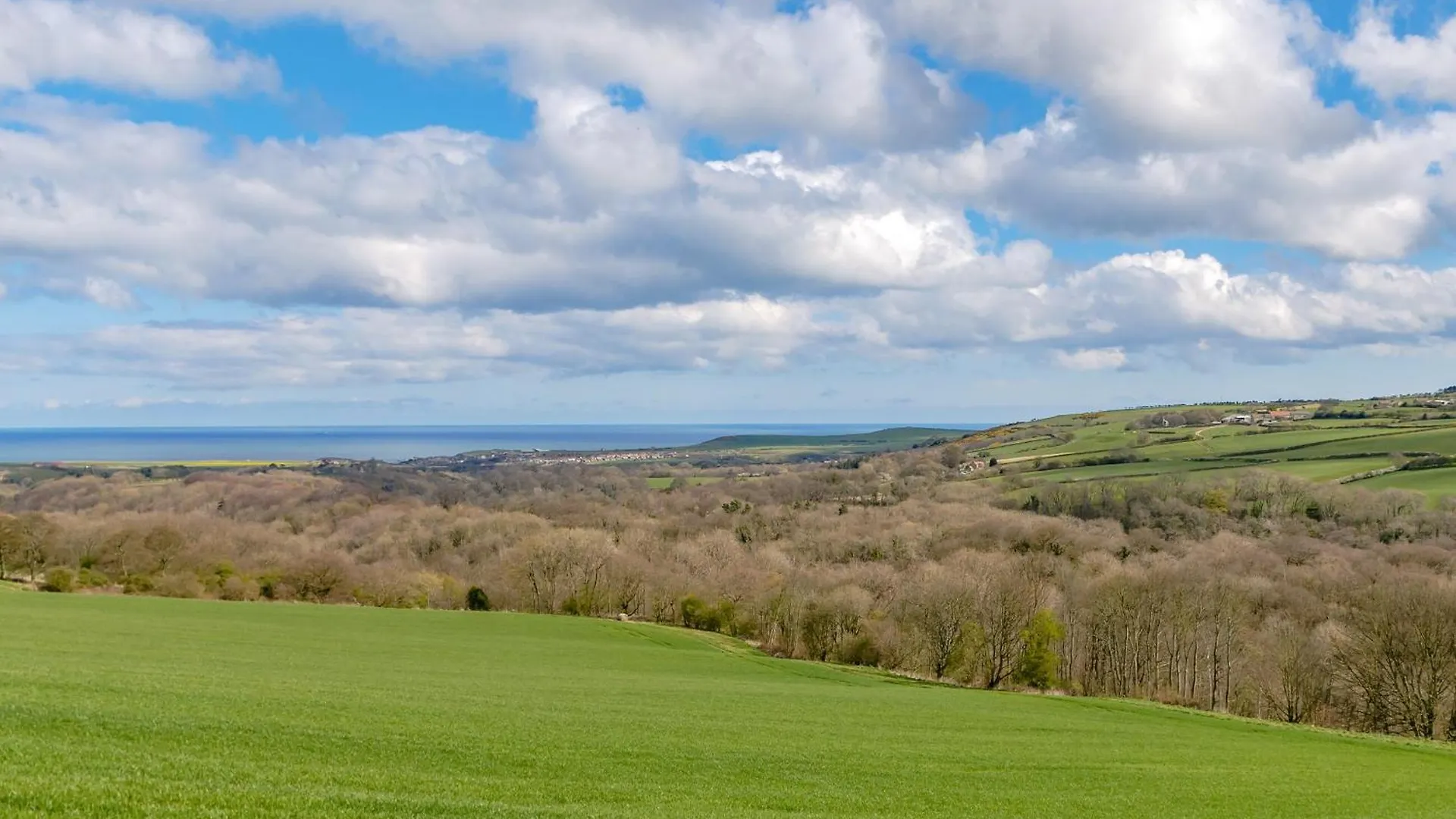 Seaview Cottage Roxby United Kingdom